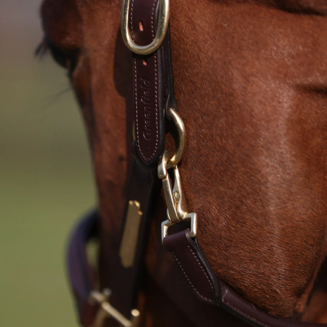 leather_4.webp