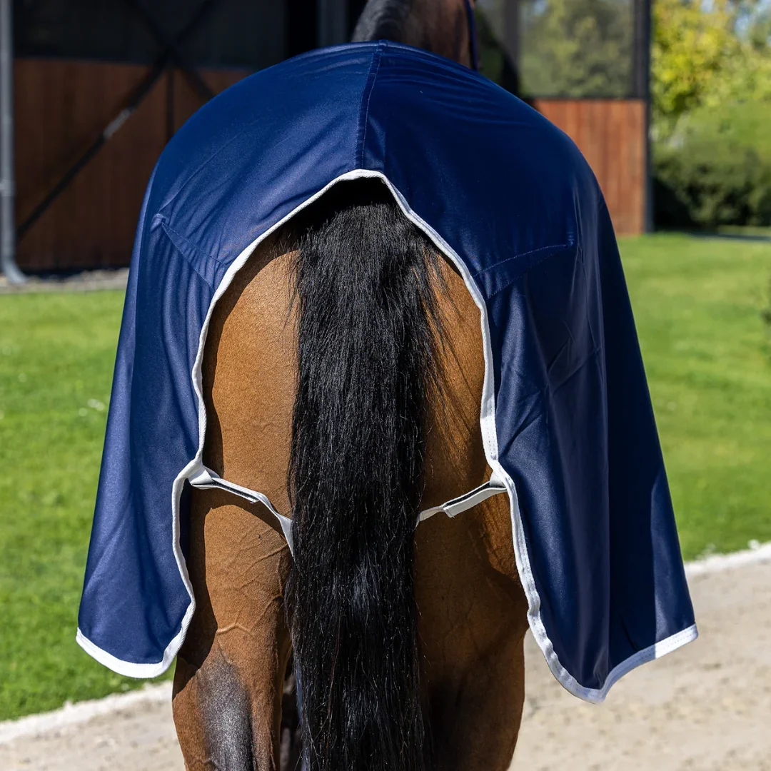 navy-white_0d15670c-e446-40b1-8e92-f6cc3928a657.webp