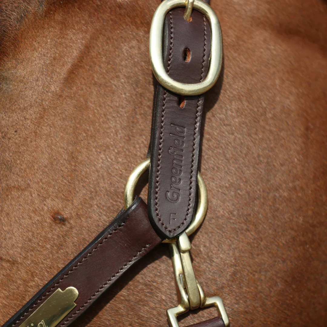 leather_3.webp
