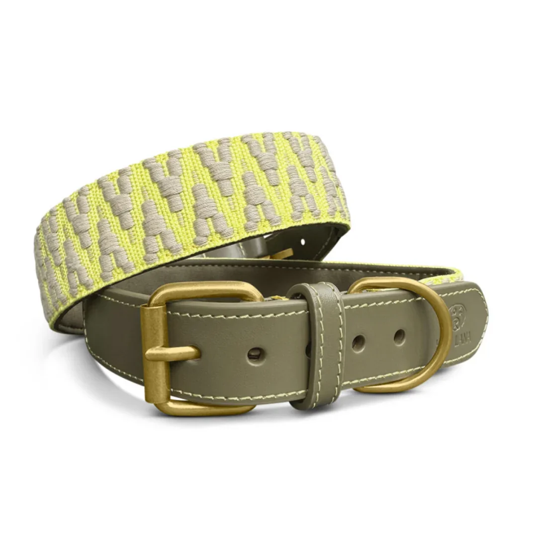 Collier - Olive / Jaune néon