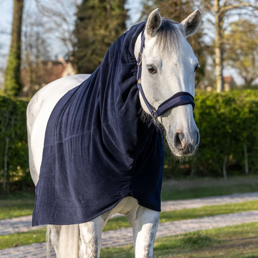 Couvre-cou polaire Greenfield