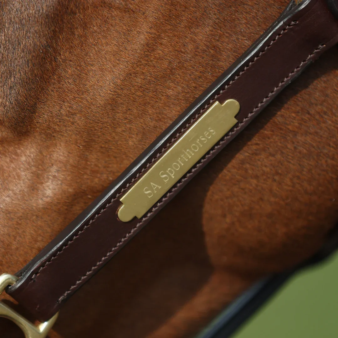 leather_1.webp