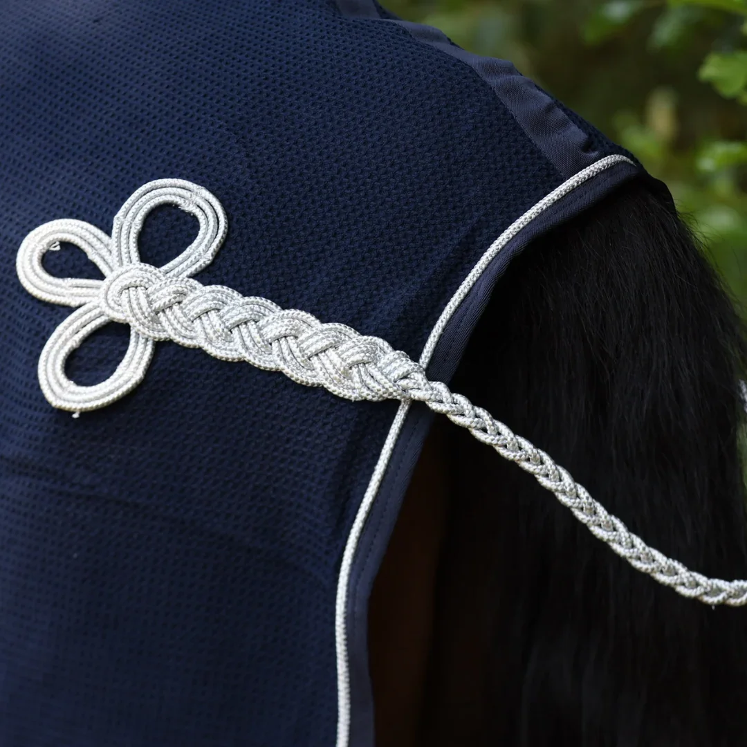 honeycomb_publicity_navy-silver_back.webp