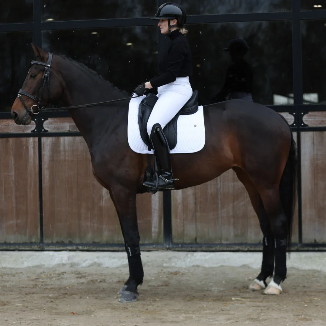 Tapis de selle Dressage Arrow - Blanc Greenfield