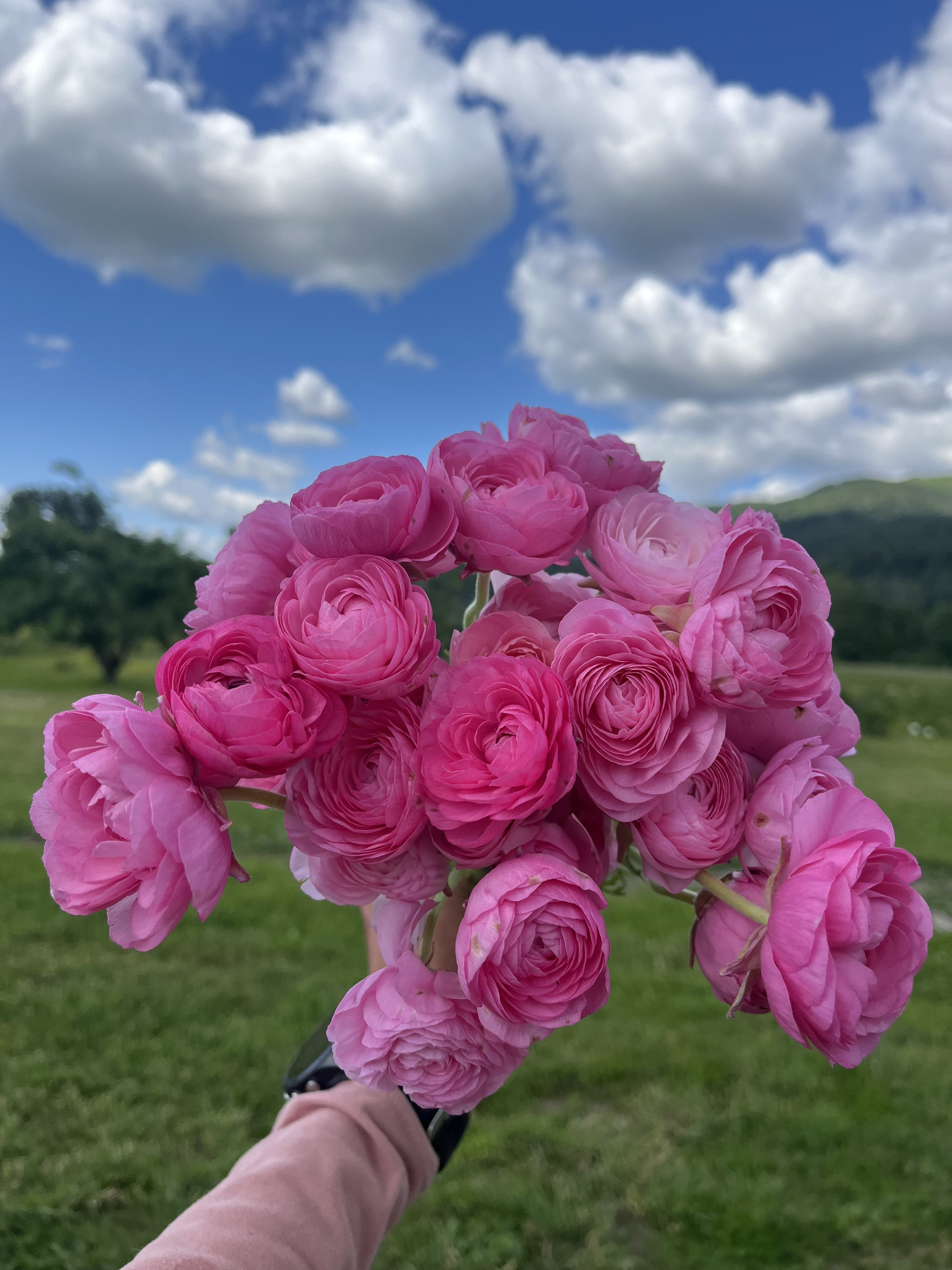 IMG_0772.jpeg