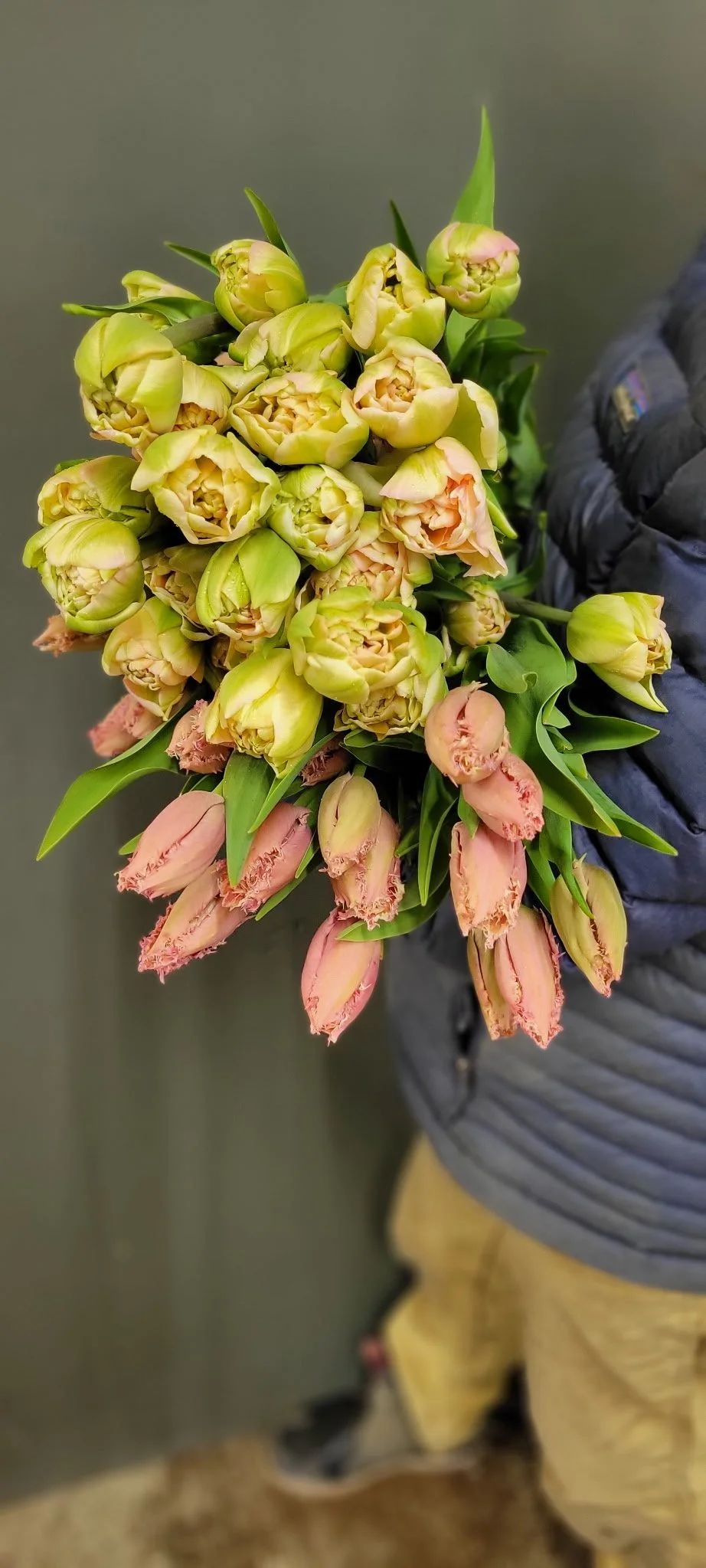 2959312764721440958.JPG