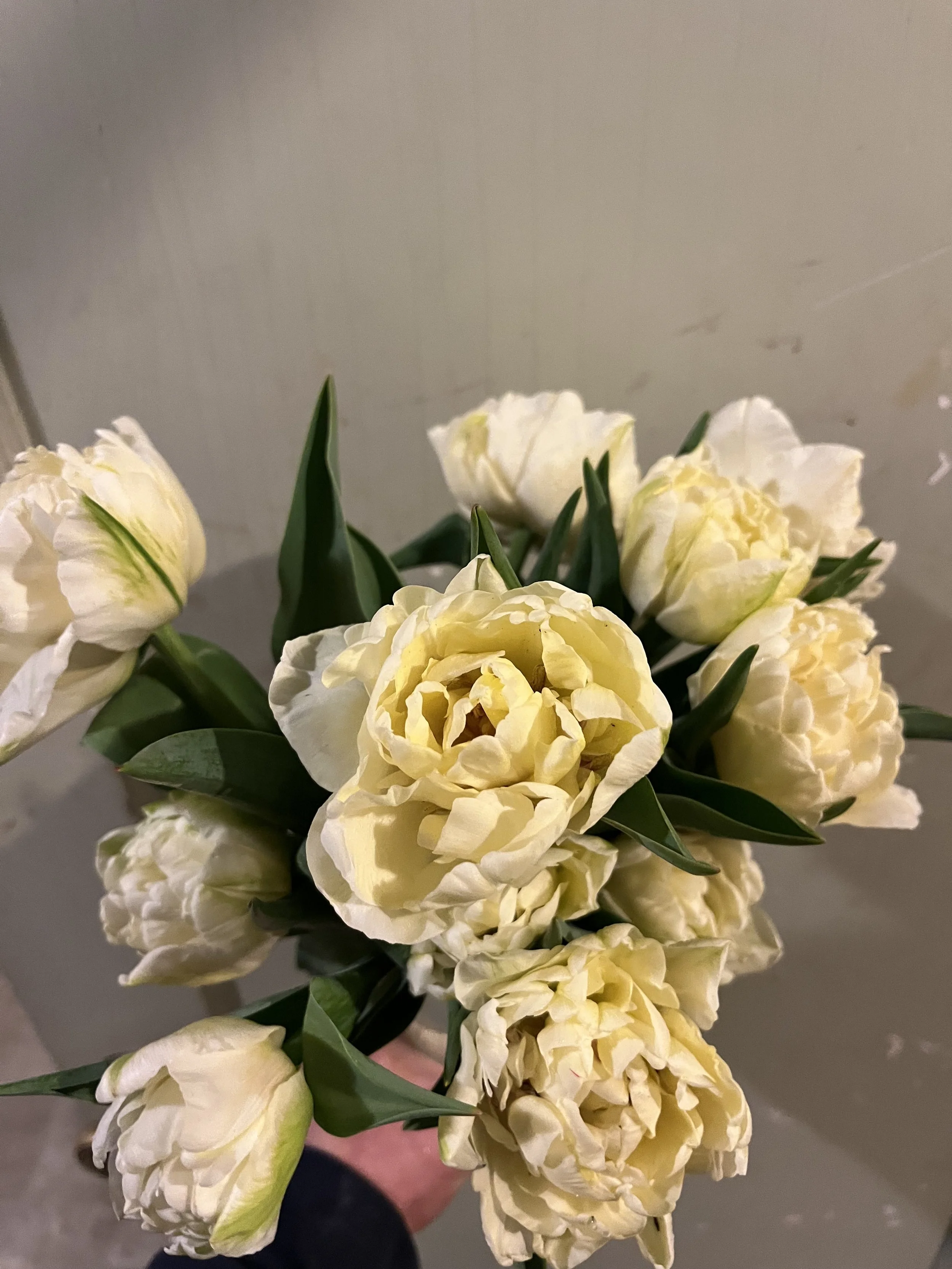 IMG_5719.jpeg