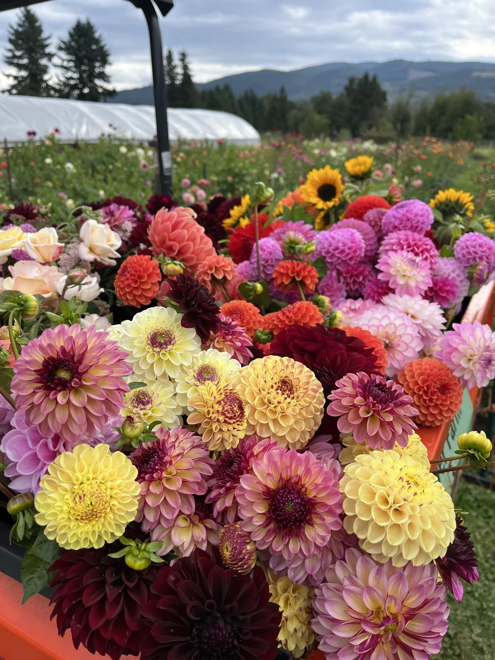 Wedding Floral Workshop — Bellingham Flower Farm