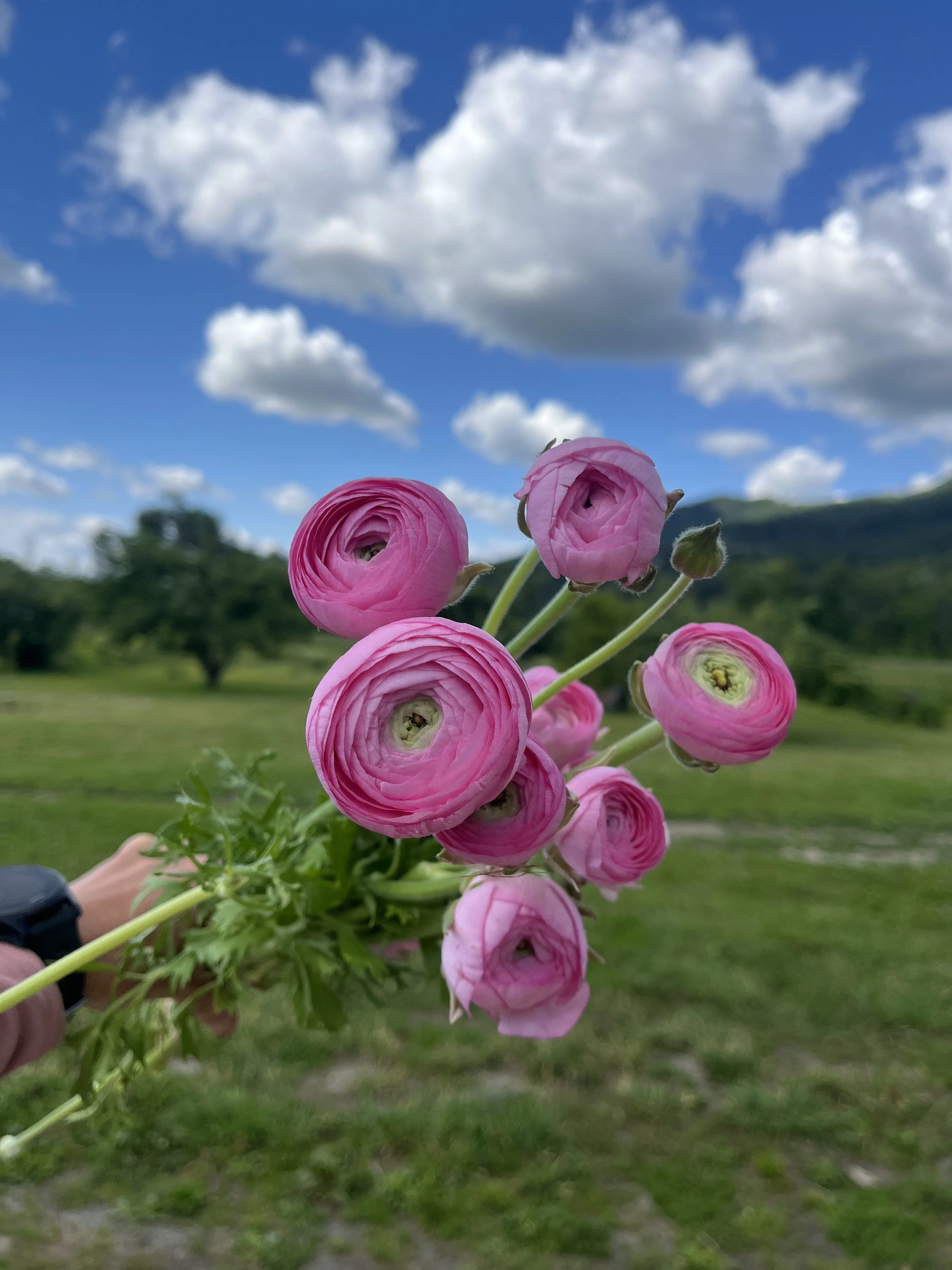 IMG_0777.jpeg