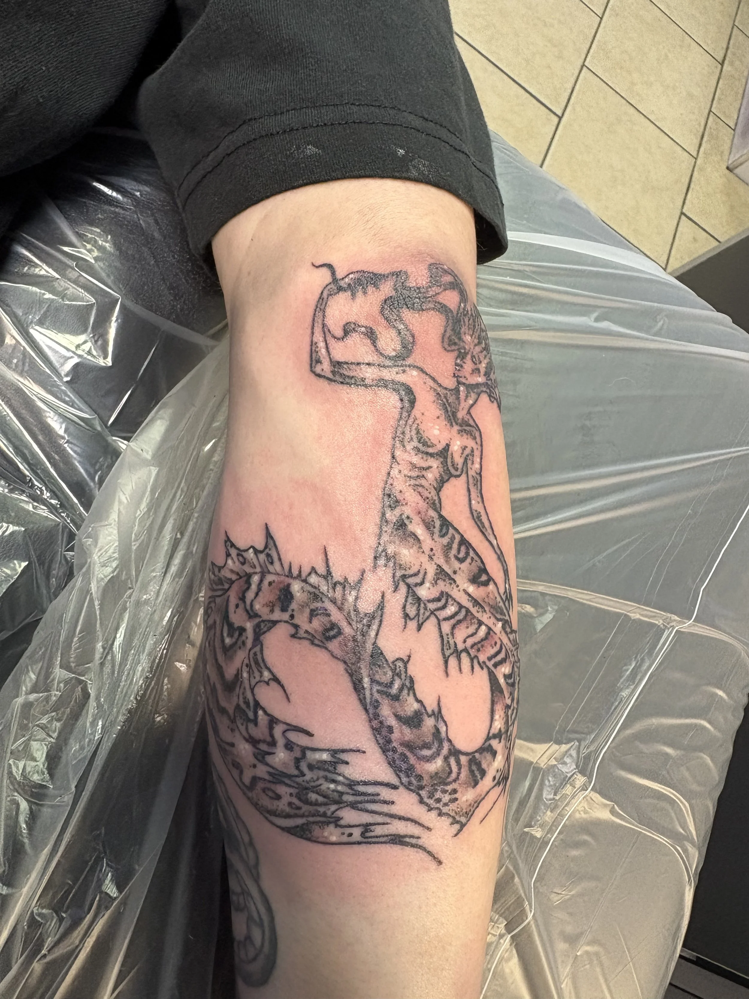 IMG_5490.jpeg