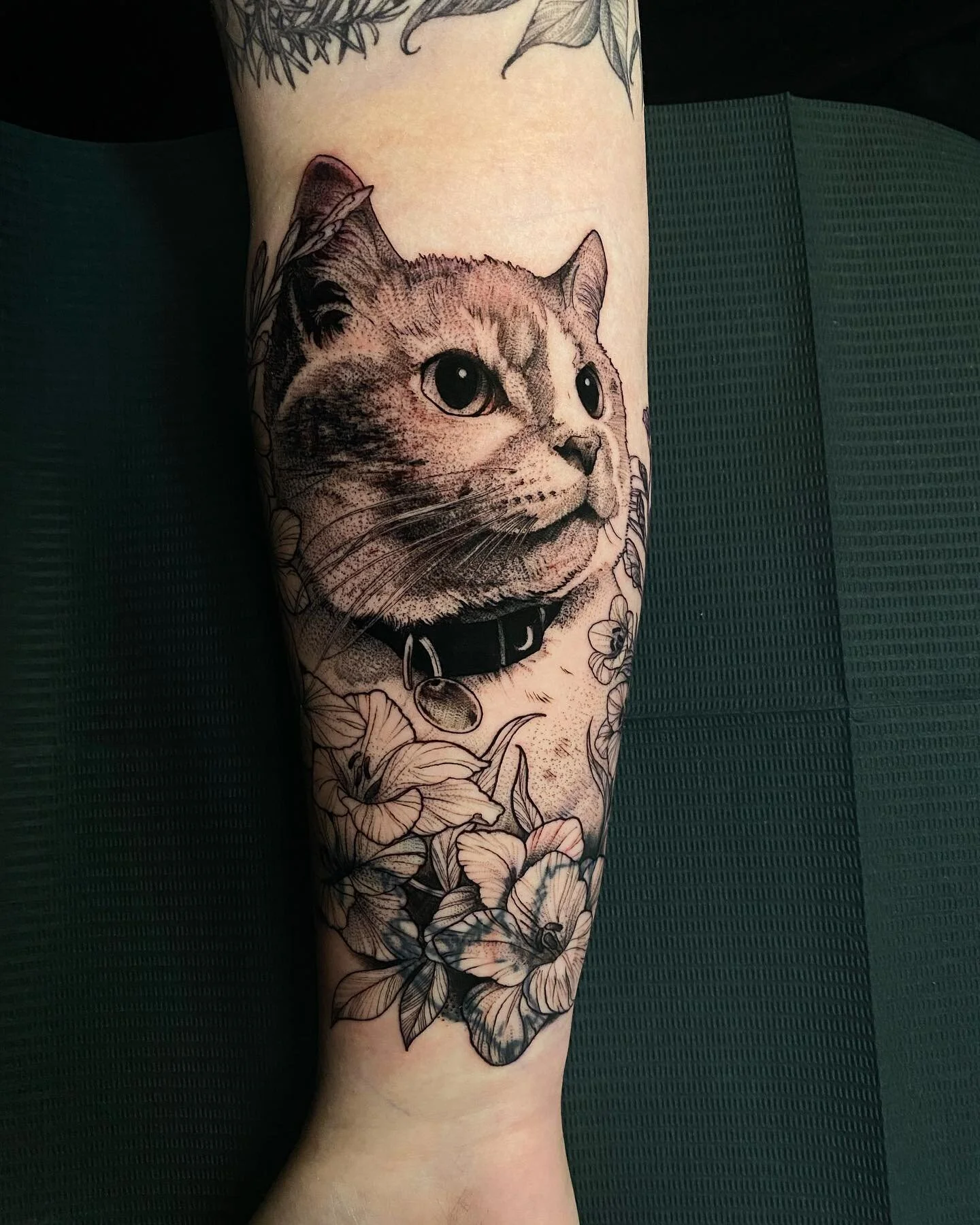 Professor Jiggly 🐱

#tattoo #tattoos #cattattoo #gladiolus #gladiolas #gladiolusflower #flowertattoo #catandflowers #kittytattoo #catportrait #blackwork #linework #dotwork #cuteanimals #animallovers