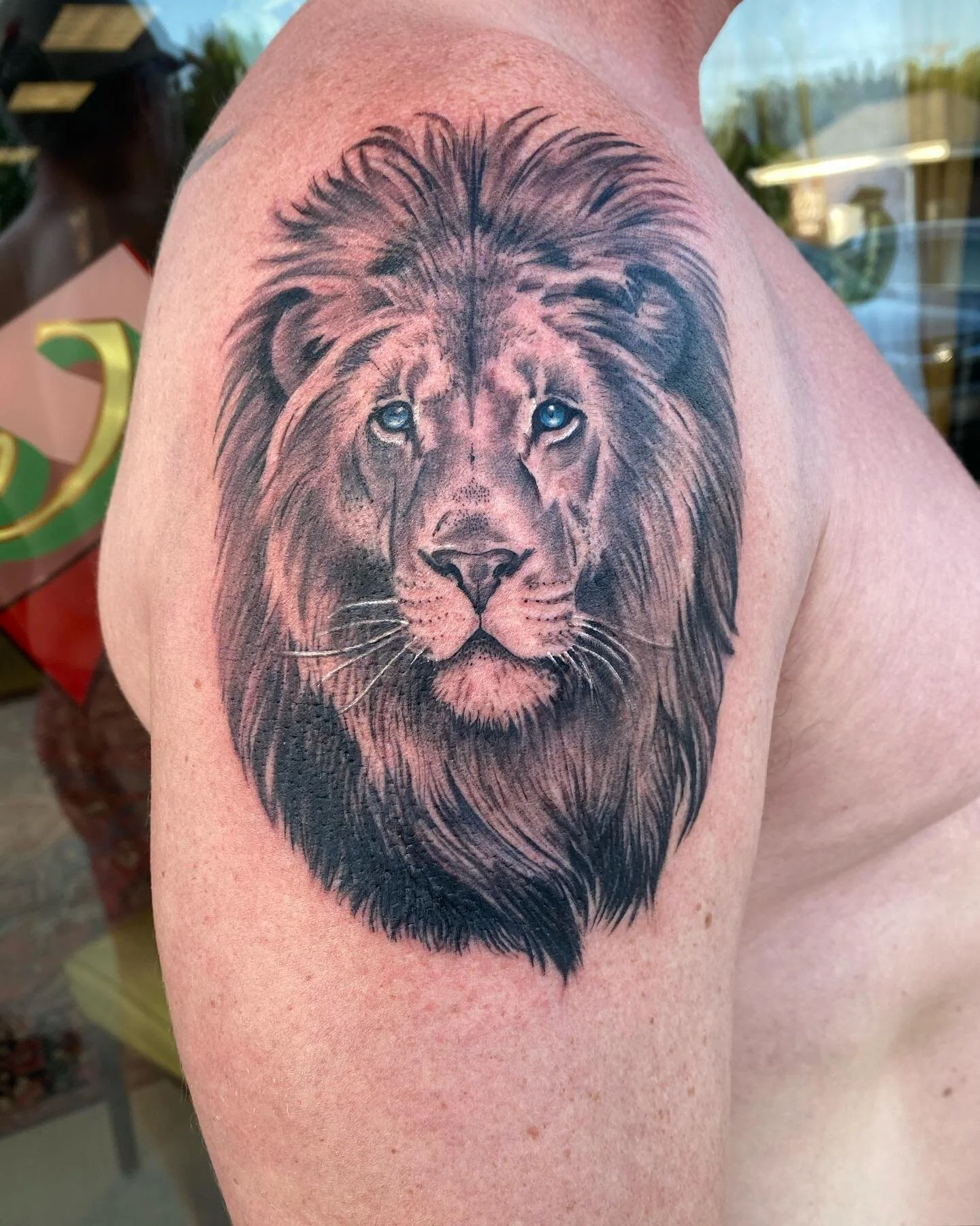 A lion and a rework/magnolia addition for a super rad couple! Thank you 🙏 

.
.
.
#tattoo #tattoos #liontattoo #rework #magnoliatattoo #daintylines #daintyfloral #kittytattoo #bigcattattoo #blackandgreyrealism #soft #softlines #lineworktattoo #birds