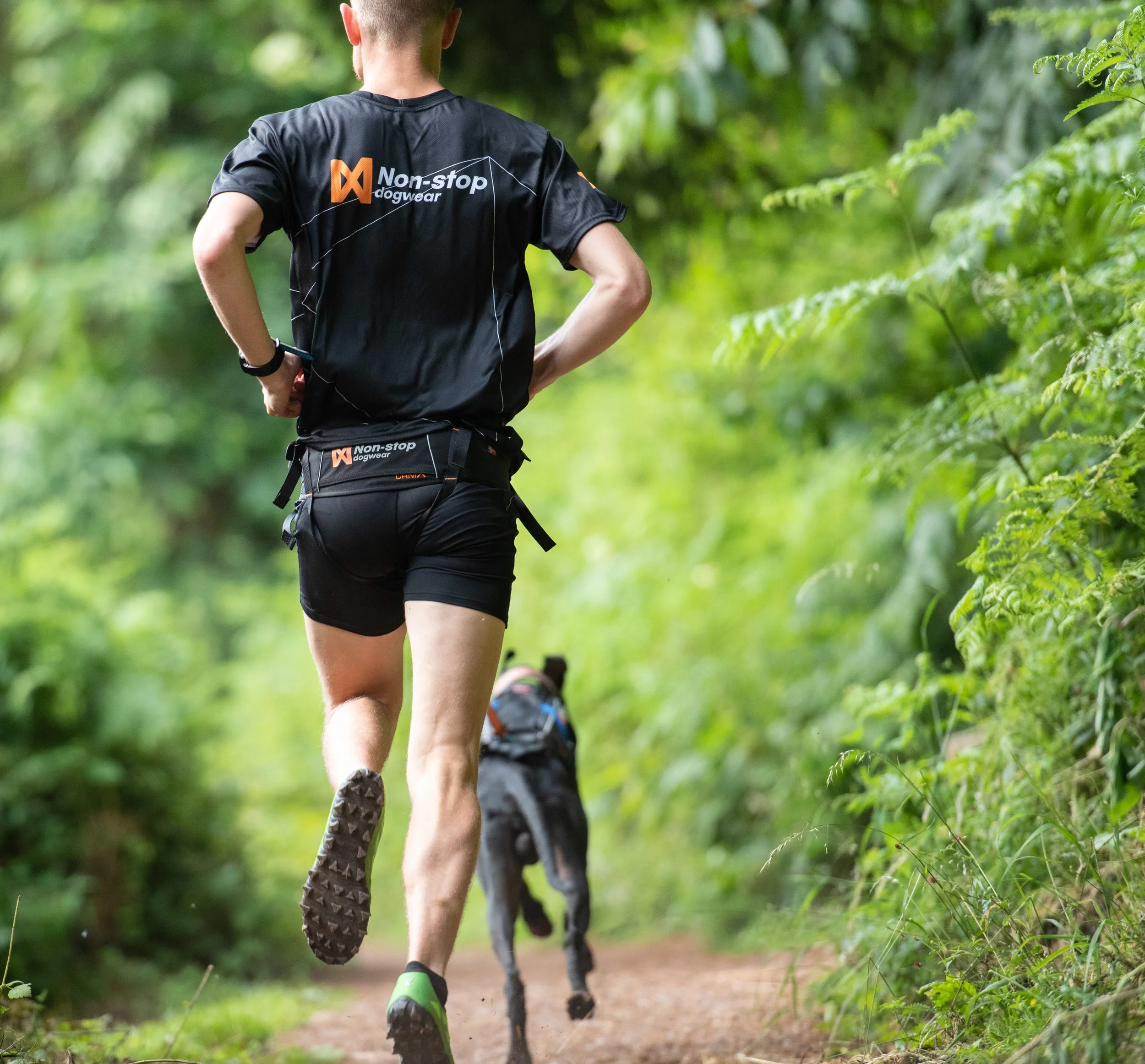 nonstopdogwear_b2b_CaniX Belt, Freemotion Harness 2019_DSC_8736_5.jpg