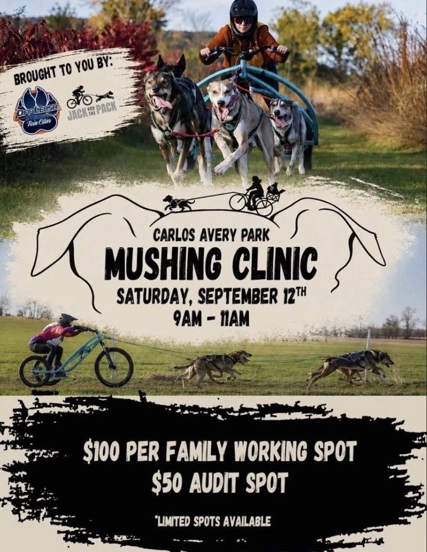 Mushing Clinic