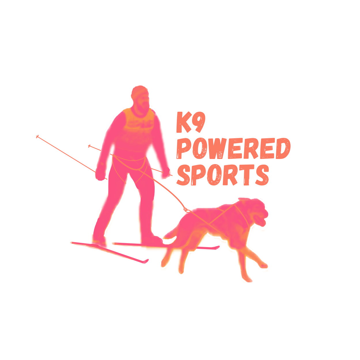 K9 Powered Sports &amp; Three Rivers Parks District Dryland Clinic