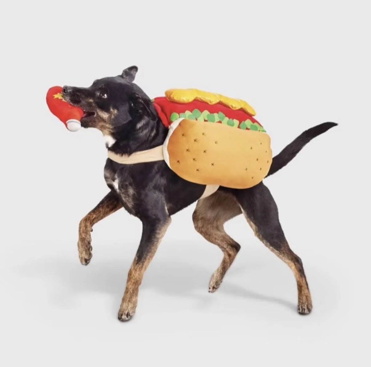 Jack Hotdog.jpg