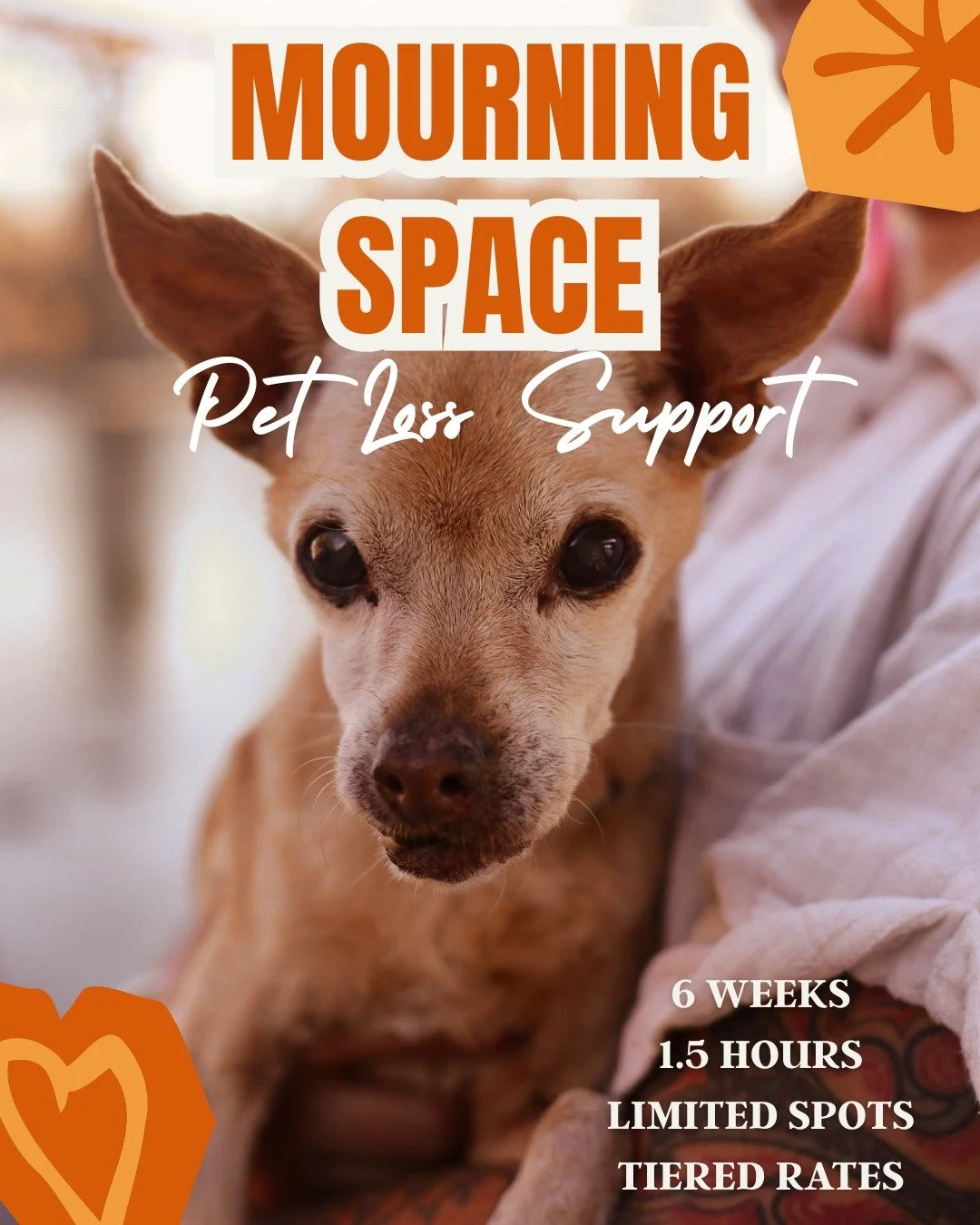 Are you grieving the loss of your pet, or is your pet nearing the end of life?

Do you wish you had someone to talk to?

Mourning Space in Redding, California is offering a 6-Week Pet Grief Integration space for those who have lost their beloved comp
