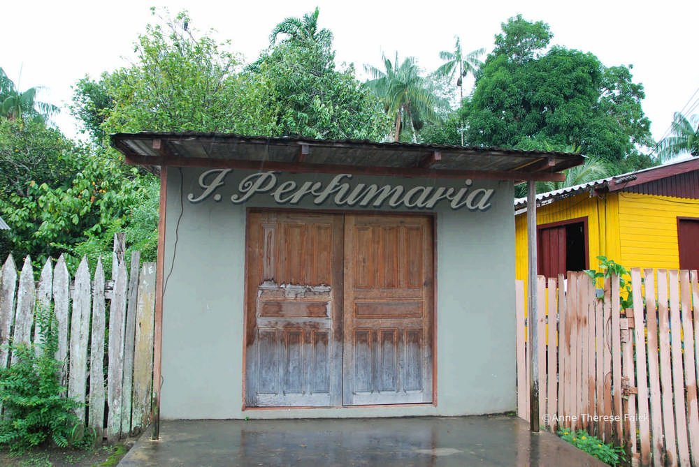 Perfumaria (Novo Airão, Amazon, Brazil, 2014)