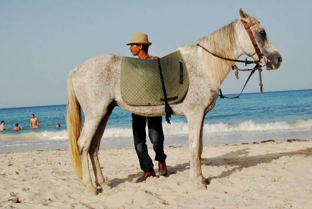 Man and horse (Djerba, Tunisia, 2008)