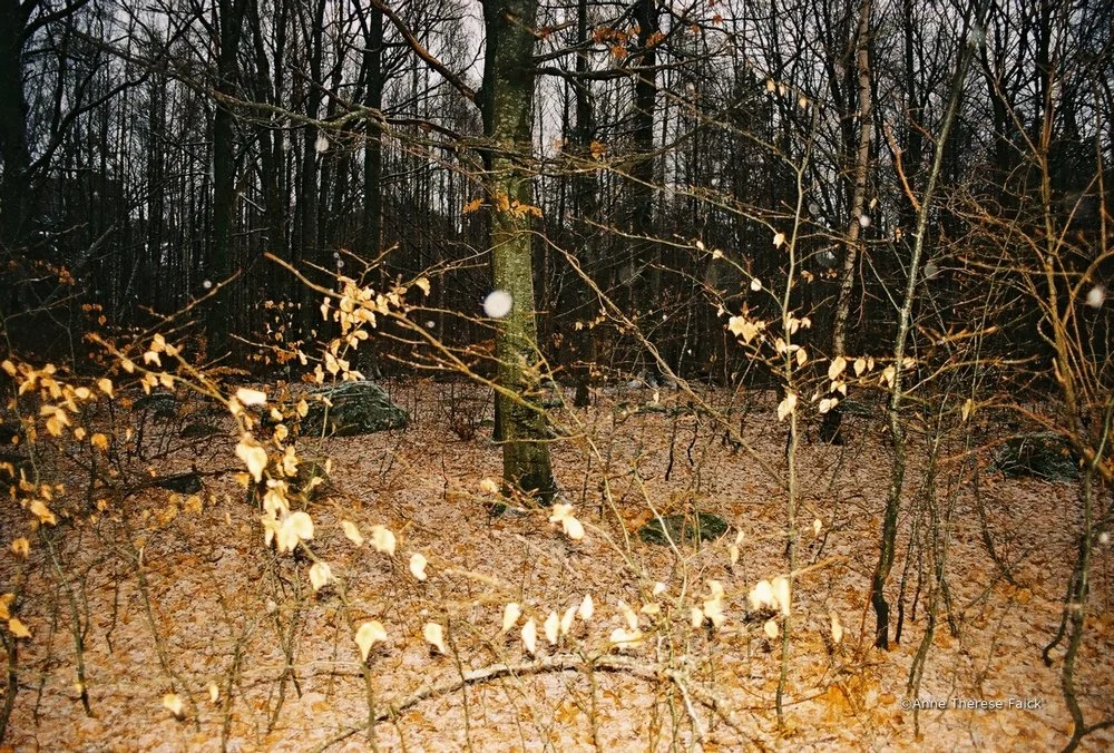 4.JPG