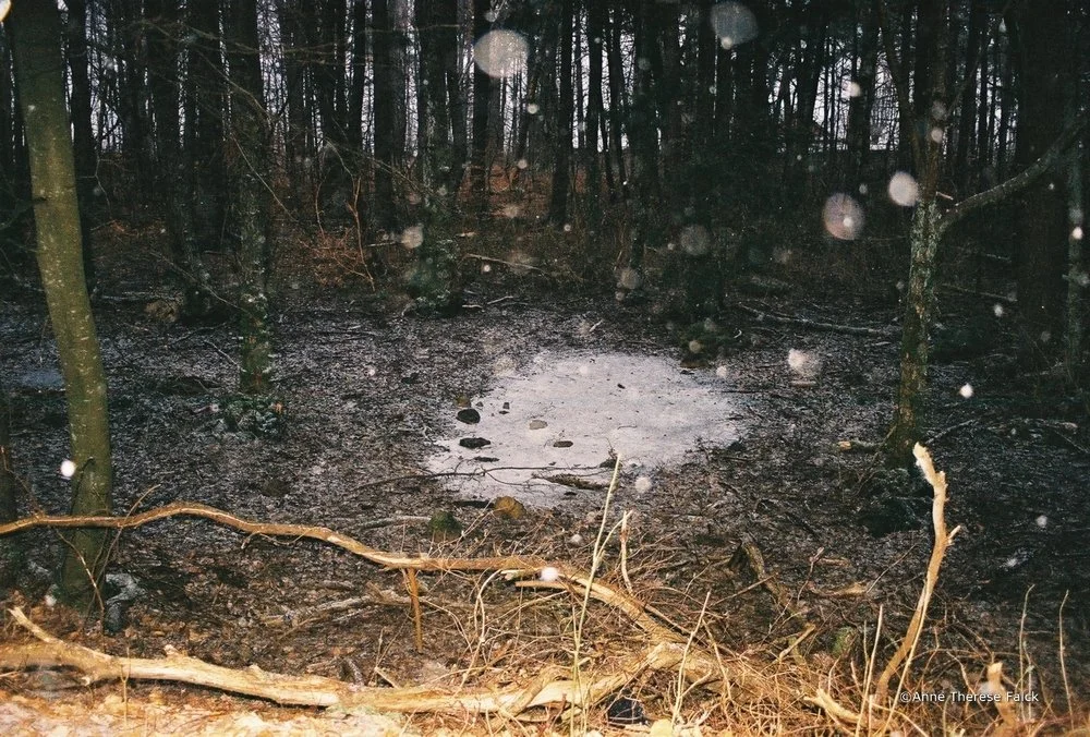 11.JPG