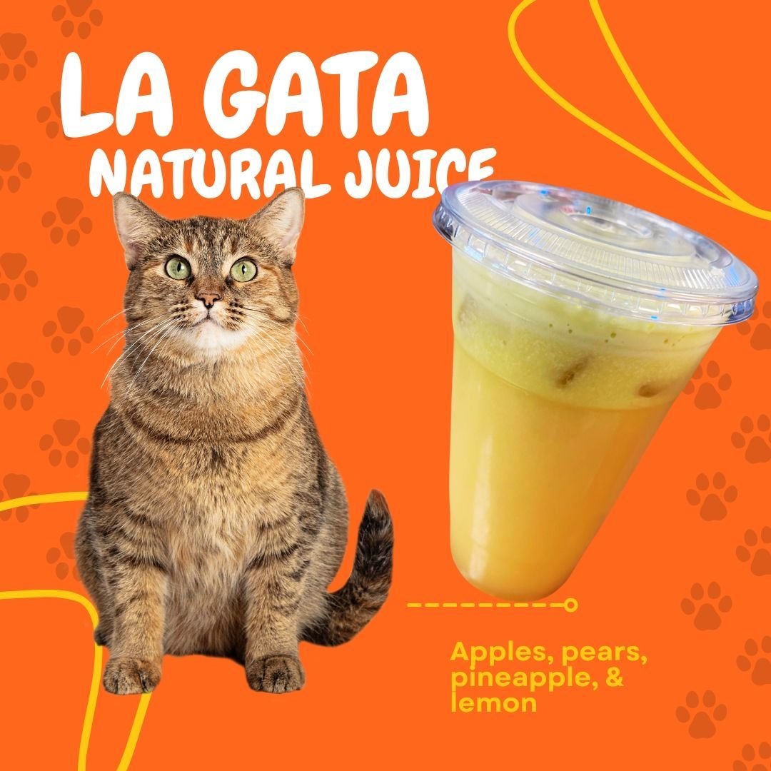 🍏🍐🍍🍋 Embark on a flavor adventure with our La Gata natural juice! Bursting with the perfect blend of apples, pears, pineapple, and lemon, it's a refreshing journey for your taste buds. Sip, savor, and experience pure delight with every sip! 🌟 #L