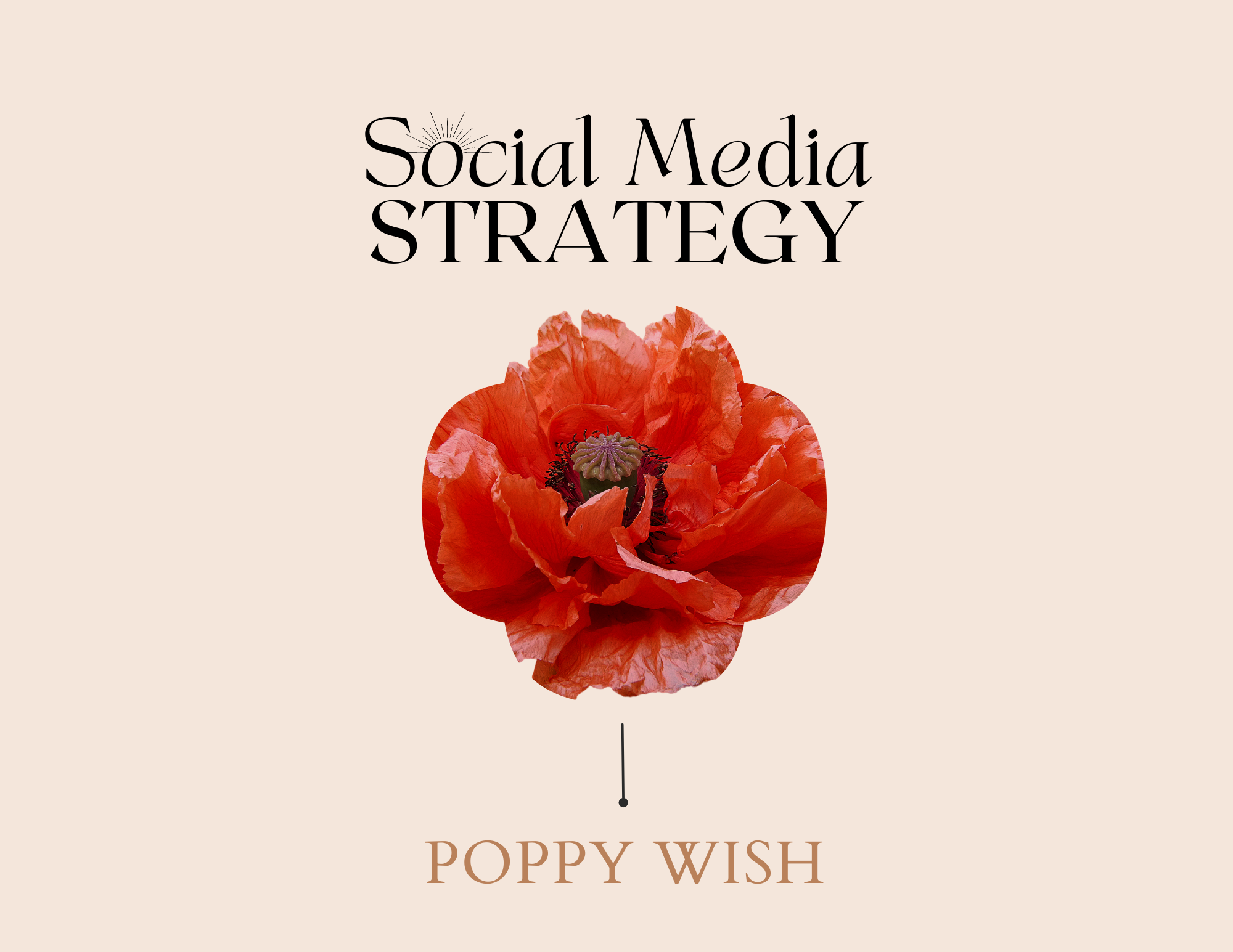 STRATEGY COVER PAGE.png