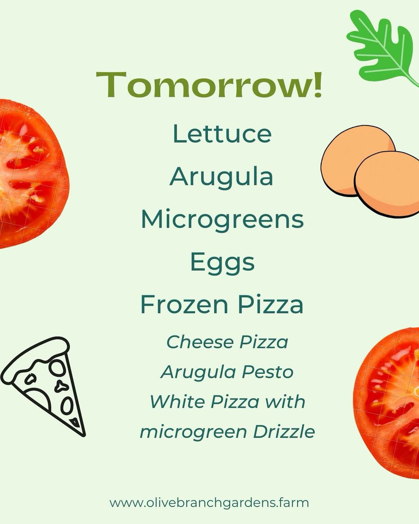 Fresh greens are available! Make sure you visit us at the market tomorrow! We will be there at 9am! 
.
.
Large variety of Microgreens, lettuce, arugula, eggs and frozen pizza! We are debuting a new flavor. White sauce with a microgreen pesto drizzle!