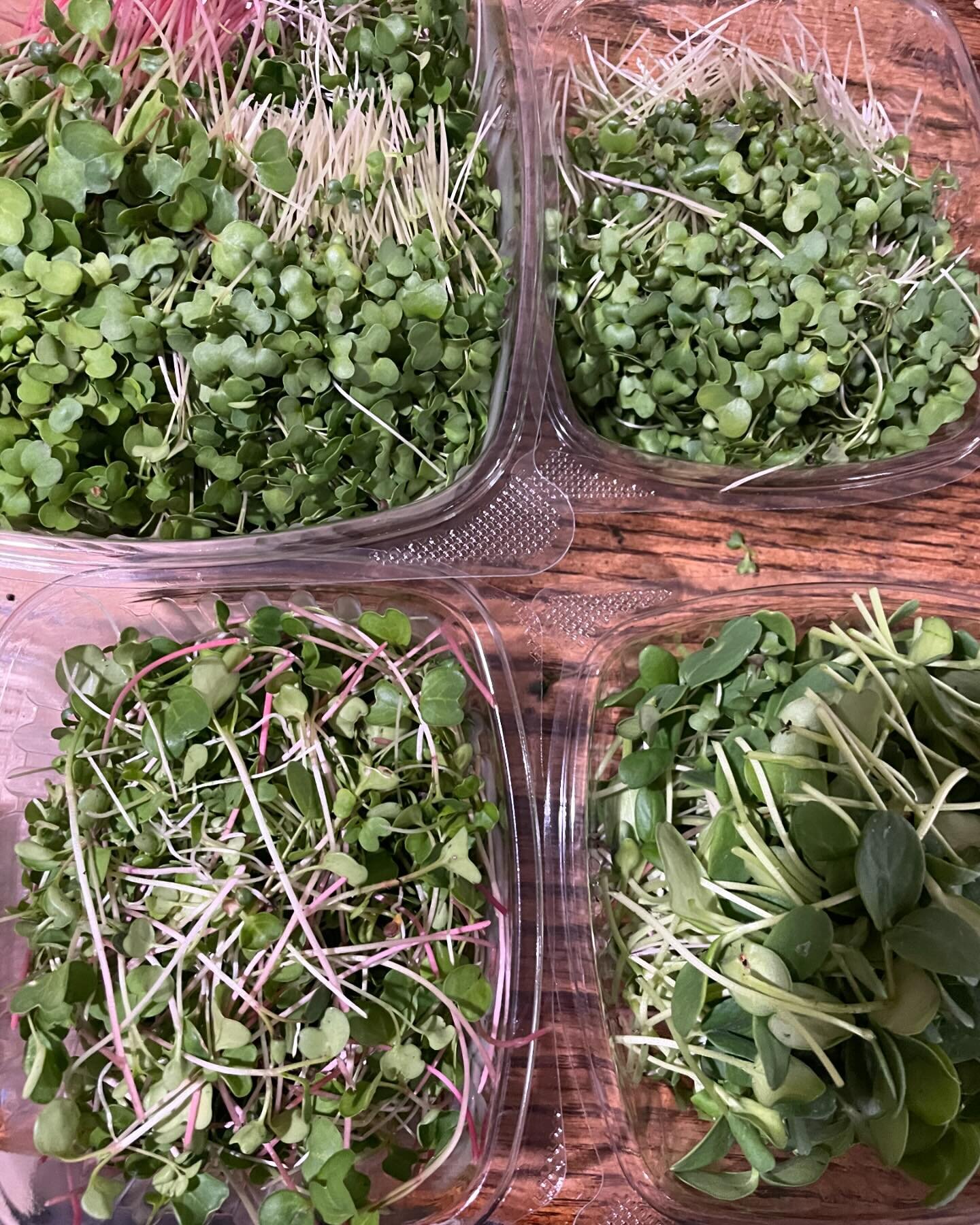 We will be at @farmersmarketatix tomorrow rain or shine!
.
.
Come support us and grab mocrogeeens and frozen pizza!
.
.
Varieties of pizza include cheese pizza, arugula pesto and white pizza with microgreen drizzle.
.
.
For Microgreens we will have s