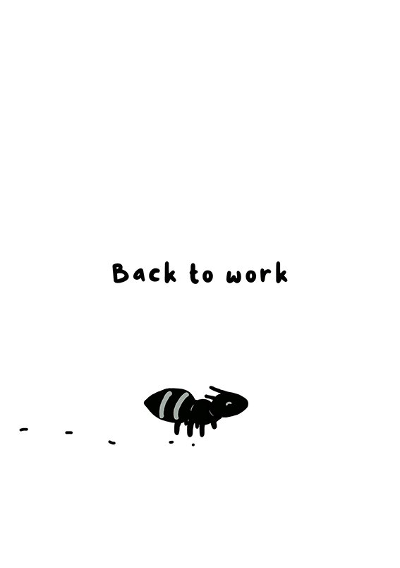 Page 13 Website.jpg