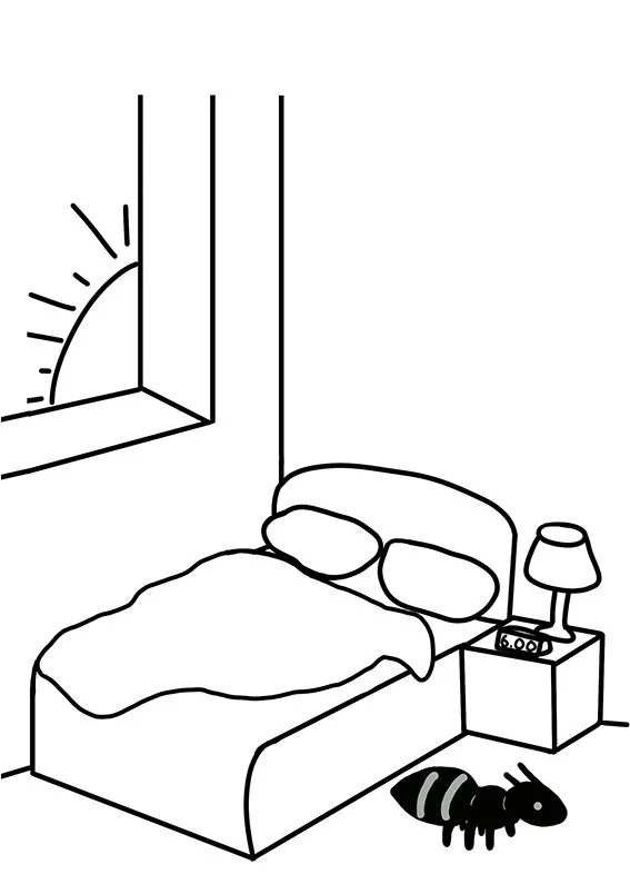 Page 3 Website.jpg