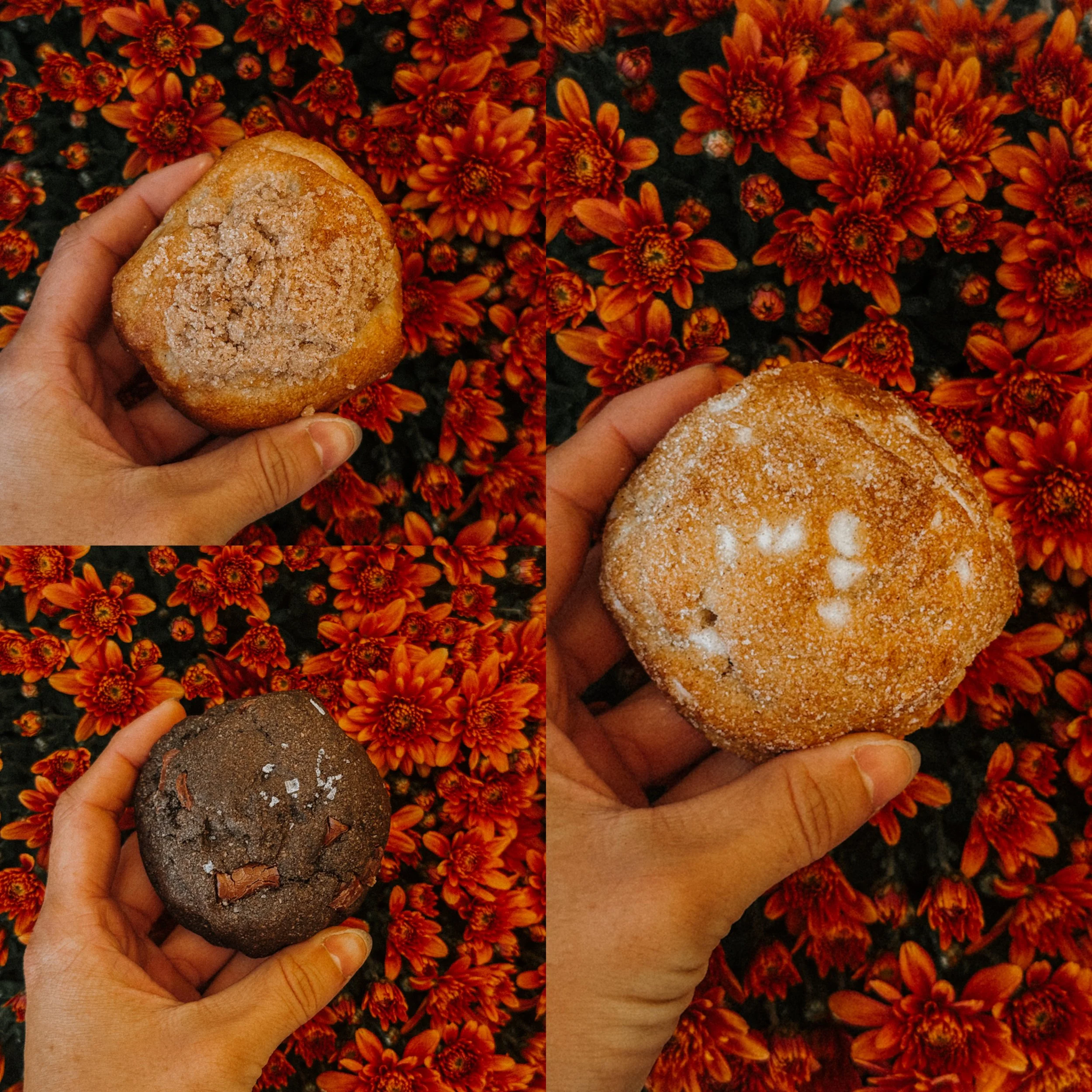 FALL *VEGAN COLLECTION*
