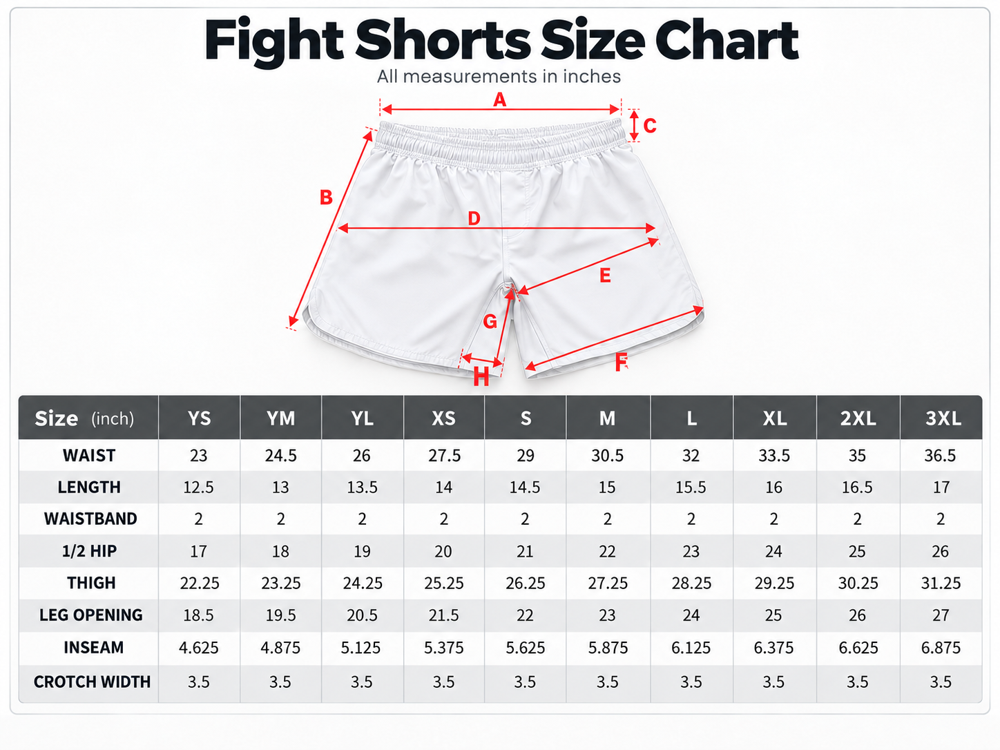 Fight Shorts Size Chart Infographic.png