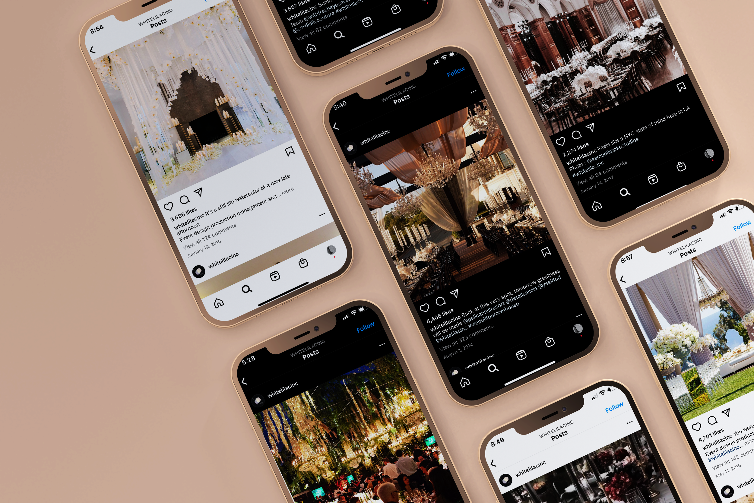 white lilac - los angeles, ca