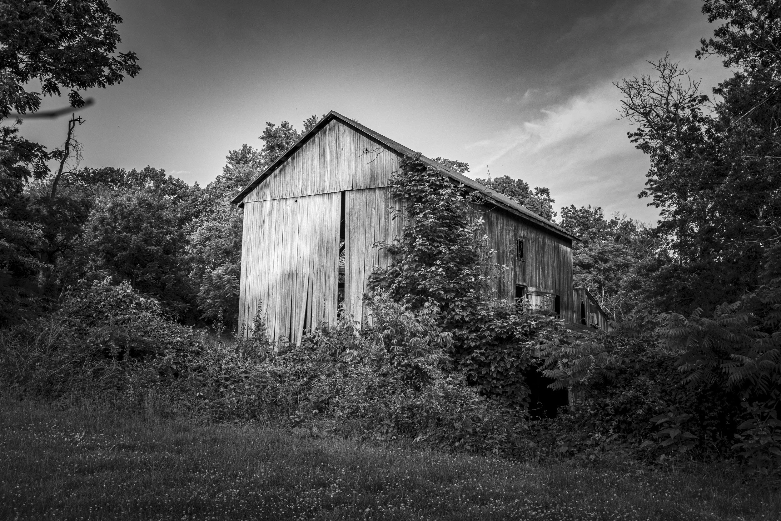 Barn_BW.jpeg