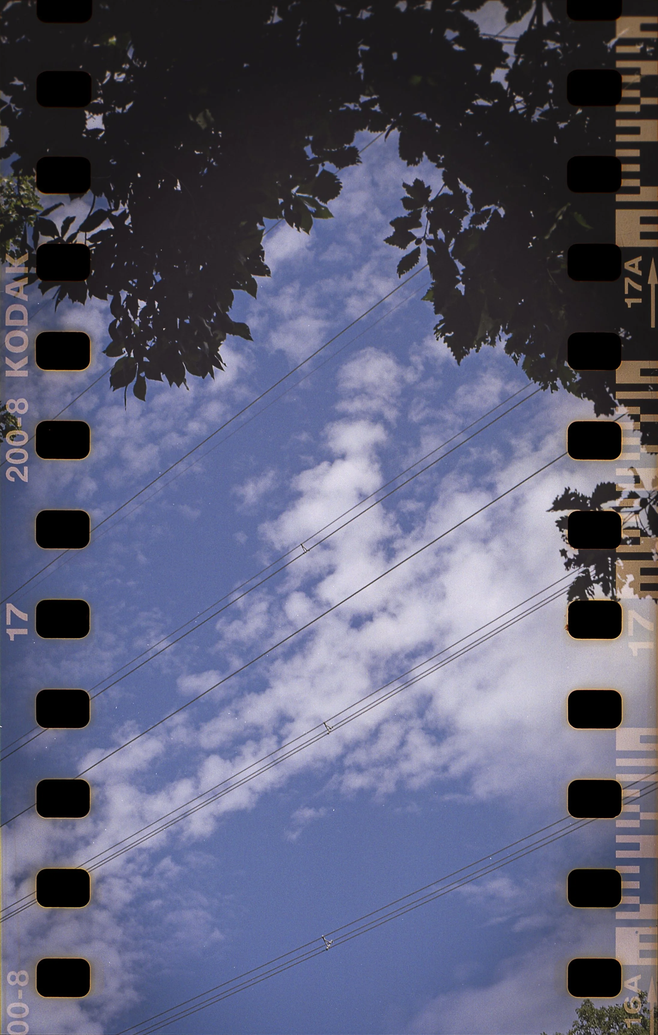Trees & Clouds_Hasselblad_PS_Bushkill, PA.jpeg