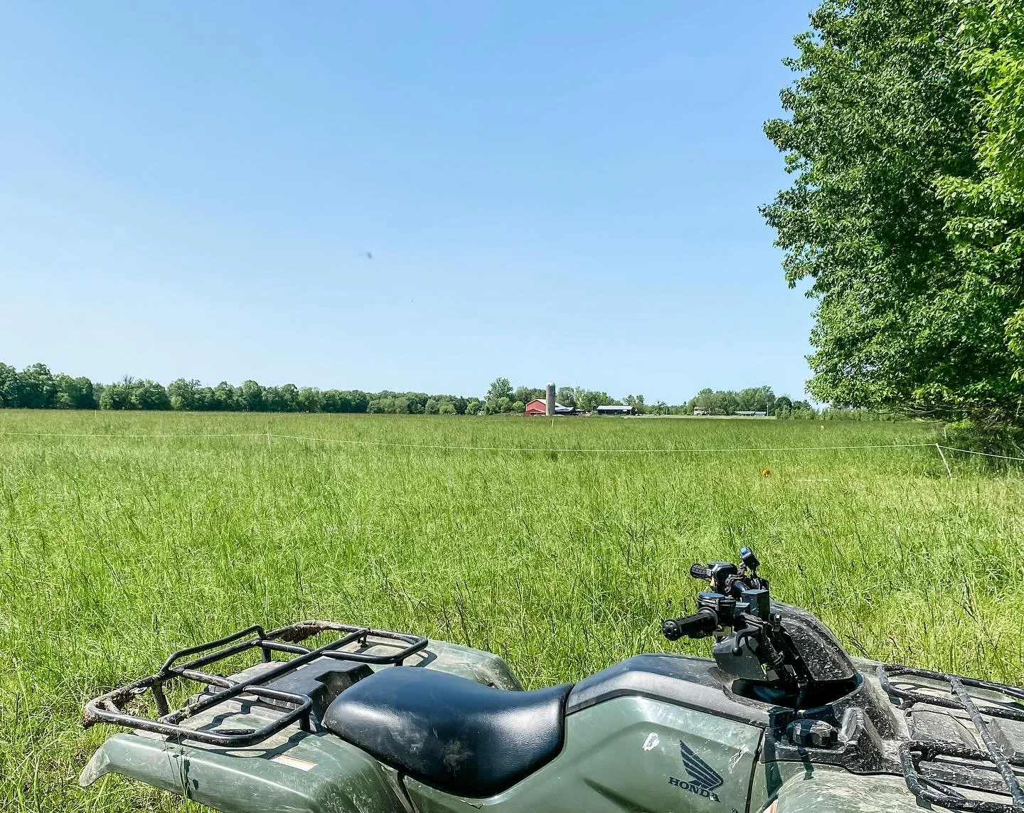 MOOing pastures ever 24 hours this time of the year 🌱
&hellip;
This is the part of the farm the furthest from the barns - about a half mile - and it tends to be used the least. It&rsquo;s the furthest area from their water and the last bit to get ma
