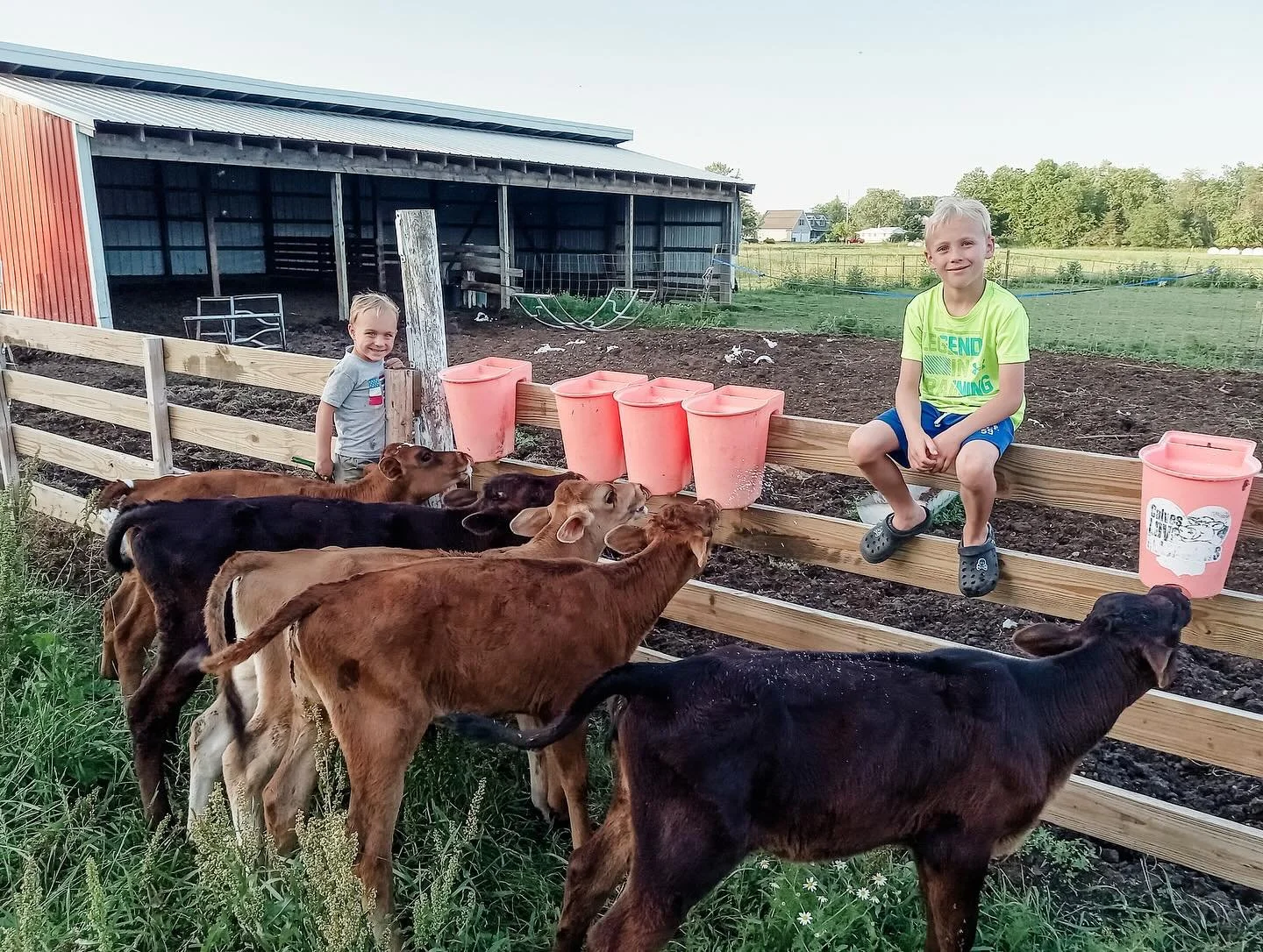 June was something else y&rsquo;all. 🤪
&hellip;
We moved to a tropical rainforest for the latter half of the month - so. much. rain. and heat. and humidity. NO complaints!
&hellip;
OK, maybe the humidity and heat indexes of 100+ 🤷&zwj;♀️😜
&hellip;