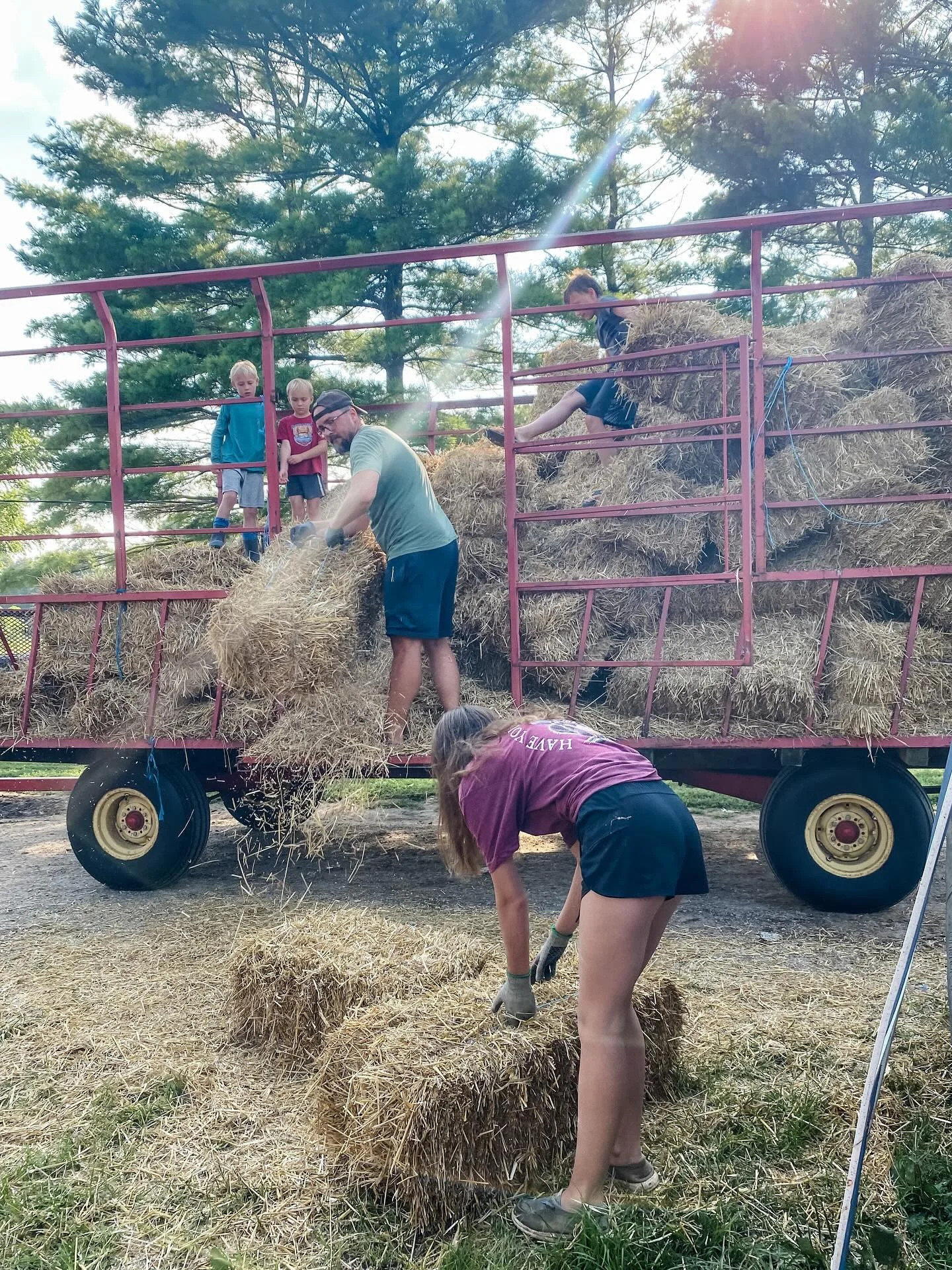 Some weeks, we just focus on getting any WIN 🏅 
&hellip;
Farm life can easily feel overwhelming.
&hellip;
We recently had the start/stop regulator on our commercial cooler burn out and lost over a days worth of milk when the overnight temp in the co