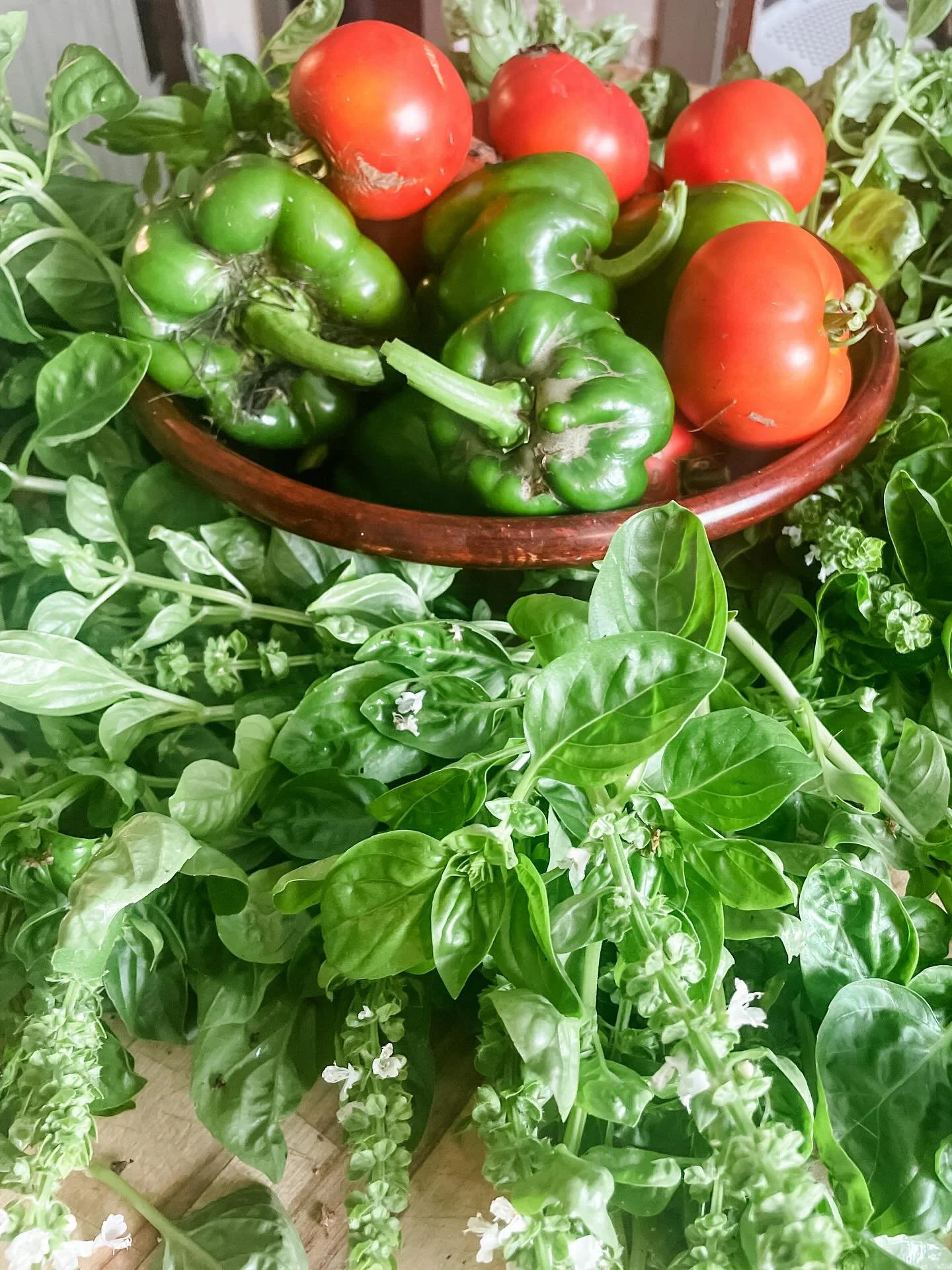 Baby steps&hellip;👣
&hellip;
I almost didn&rsquo;t plant a garden this year- I had a newborn in May and a busy summer with kids&rsquo; activities, several rounds of hay, kids&rsquo; birthdays and fresh cows due. 🐄
&hellip;
But, I wanted to do somet