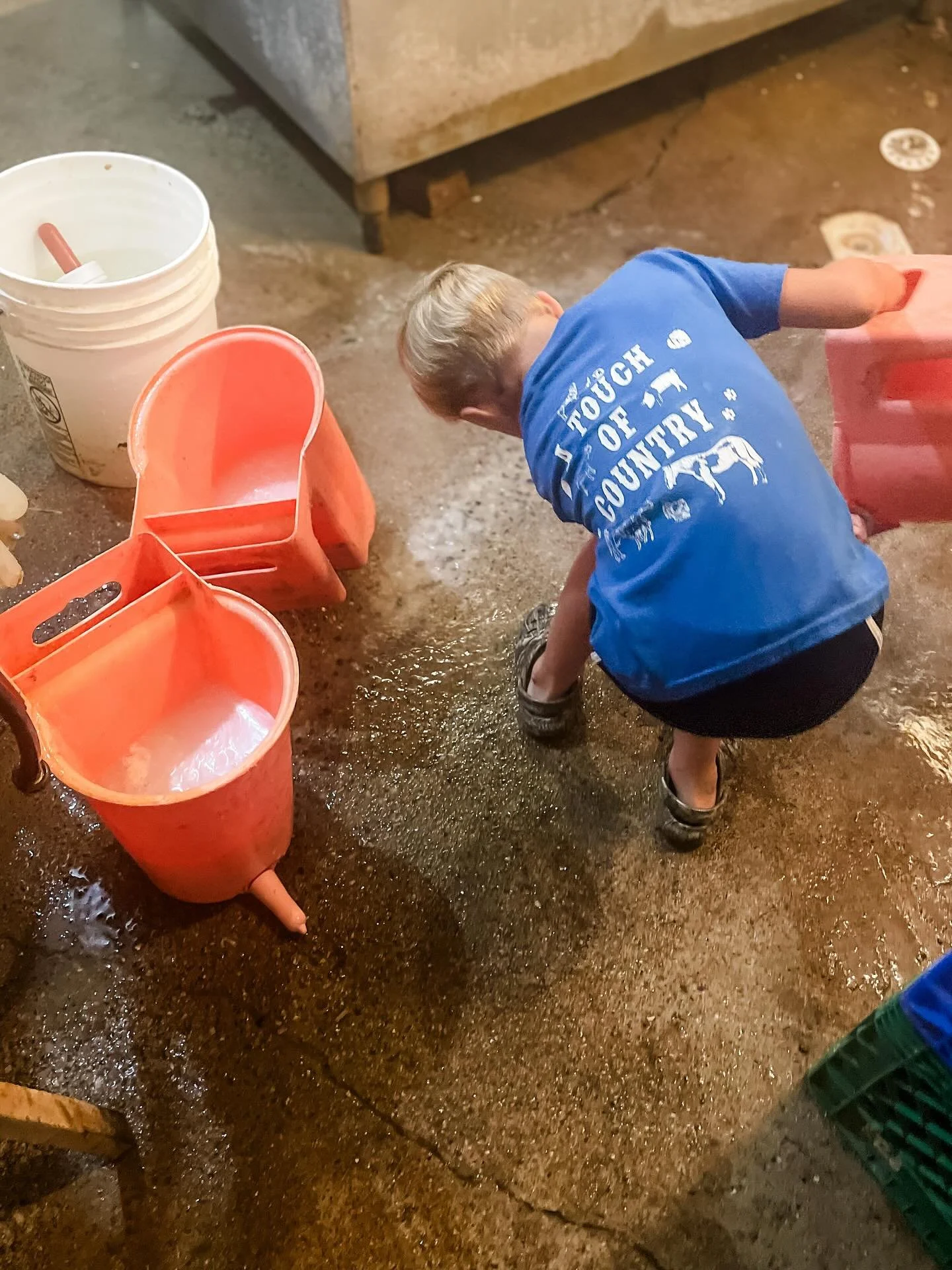 Busy worker bees around the farm!! 🐝
&hellip;
It&rsquo;s been a while since we&rsquo;ve done some farm swag so we are now taking orders thru Mon. October 6 👏
&hellip;
Orders will be fulfilled 2-3 weeks after the deadline with pickup on the farm or 