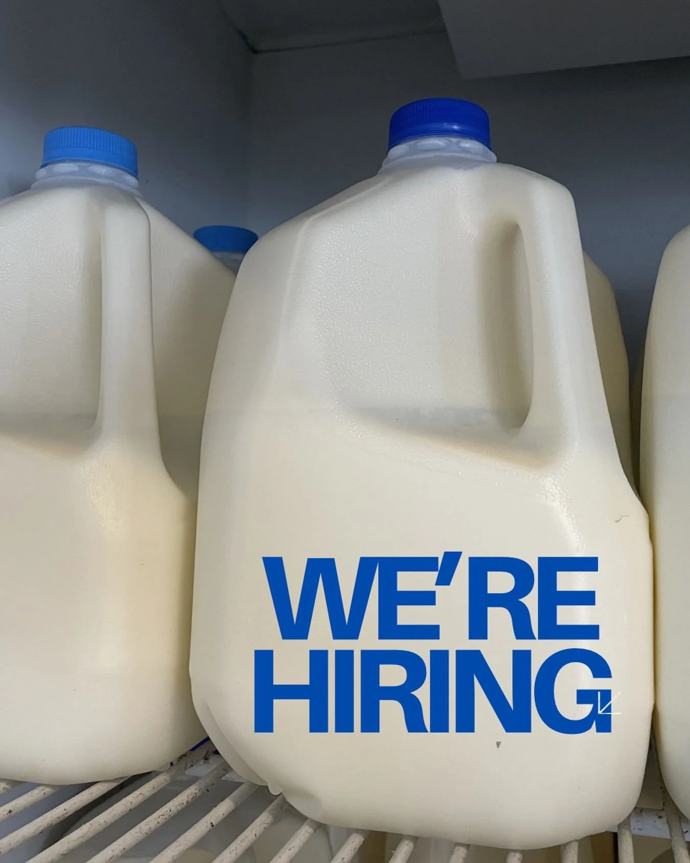 Yes, we&rsquo;re hiring 💙 Please read the FULL description ‼️
&hellip;
I&rsquo;m looking for a part-time milker on Monday mornings - Tuesday is also available but optional. We need someone who is here on a weekly basis, familiar with the farm, cows,