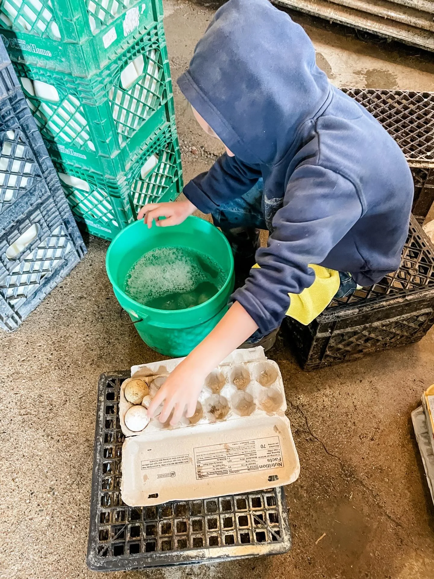 Wrapping up the week with lots of eggs, moving milk and making butter 🧈 
&hellip;
Plus, taking care of babies &amp; their mamas 💕
&hellip;
We have a few good leads on a new weekday milker thanks to our last post - and thank you to everyone who shar
