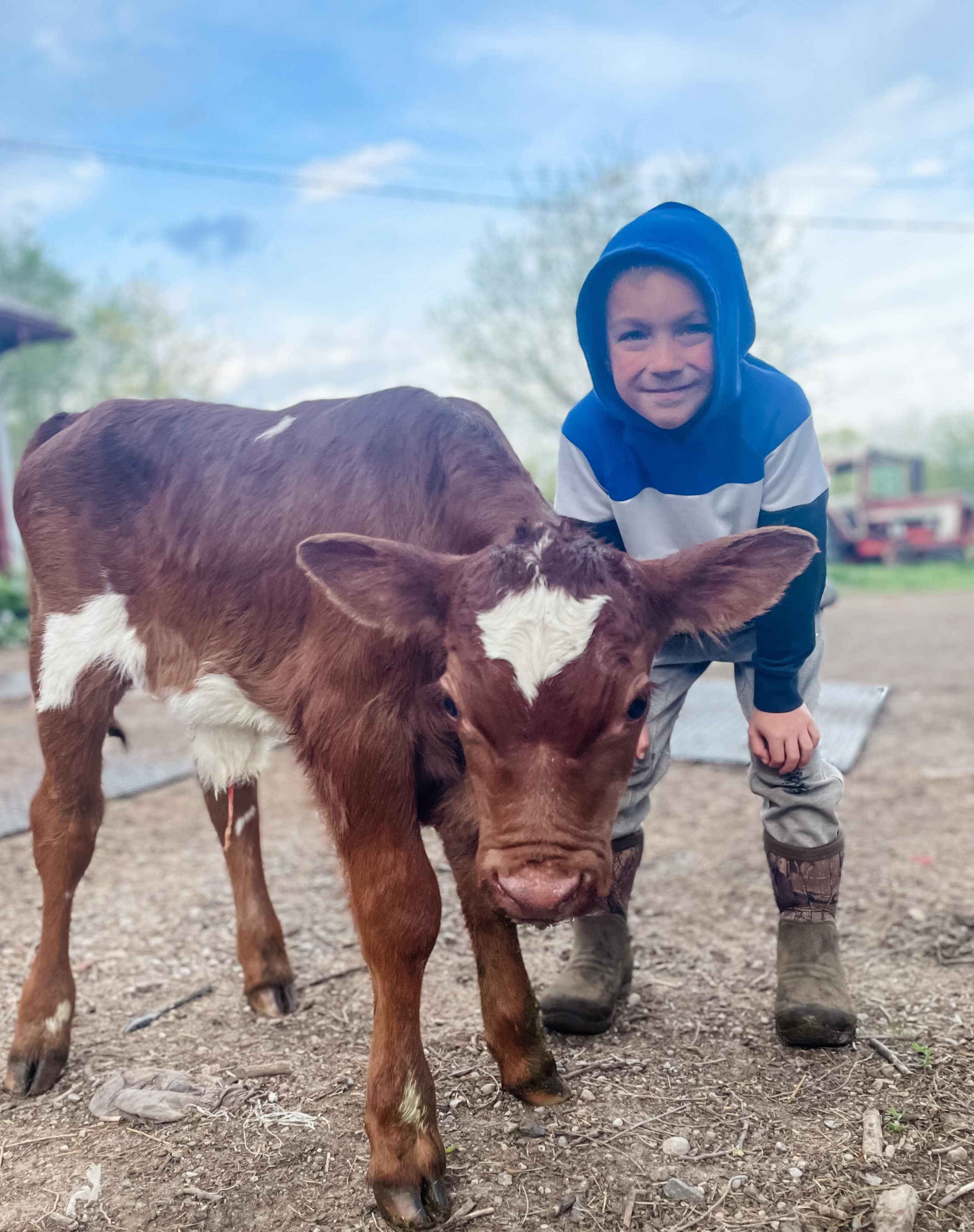 Baby born Saturday morning!! 😍
&hellip;
Healthy Hereford cross bull calf - he was up nursing in the pasture when I found him. 💪
&hellip;
🌱 The grass was a little stunted in the cold weather but we&rsquo;re hoping with some heat &amp; rain, we can 