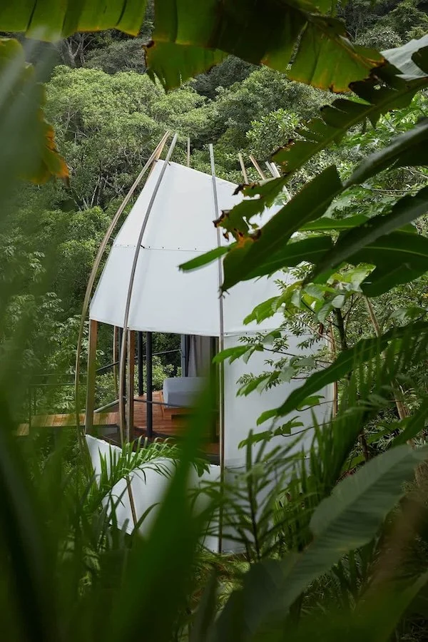 Minimalist cocoon pod in the jungle canopy at Art Villas Uvita Costa Rica