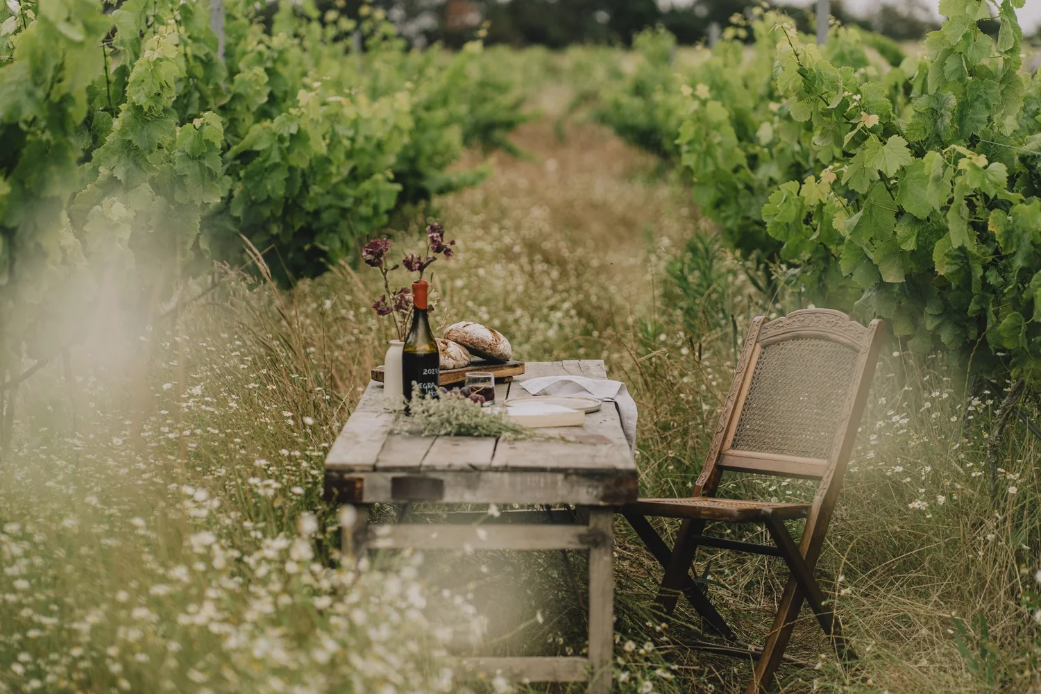 Rustic table set for two with bread and wine among vineyard rows and wildflowers at Amaria in Portugal