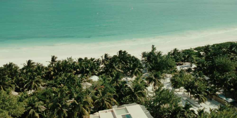 Luxury yoga retreat in Mexico — rooftop plunge terrace with jungle and sea horizons, designed for calm between sessions.