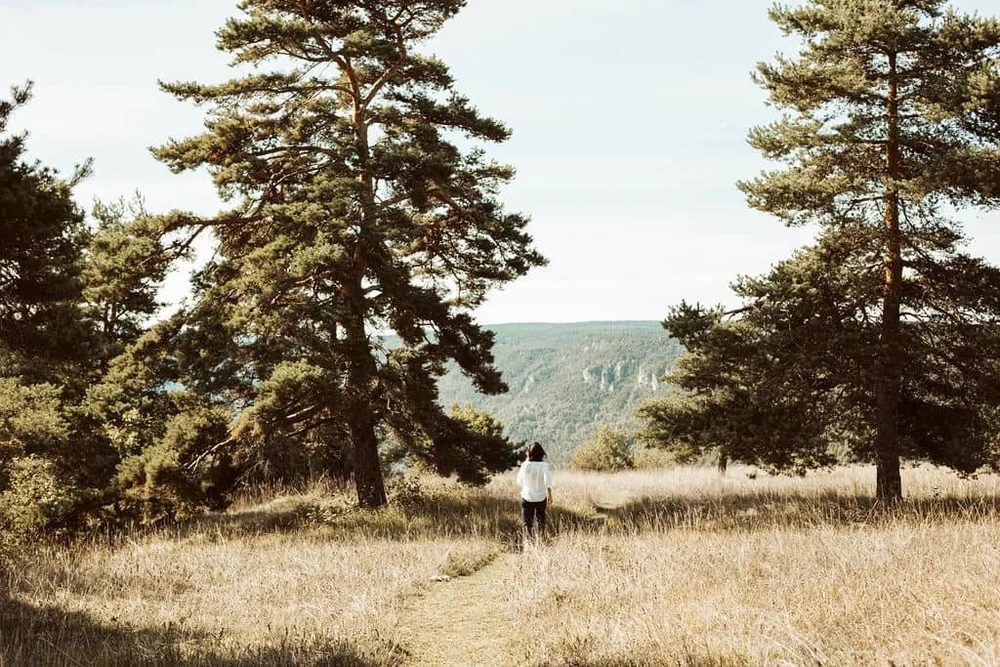 Walking through an open meadow beneath the limestone cliffs of the Causses and Cévennes near L'Esprit d'Almières