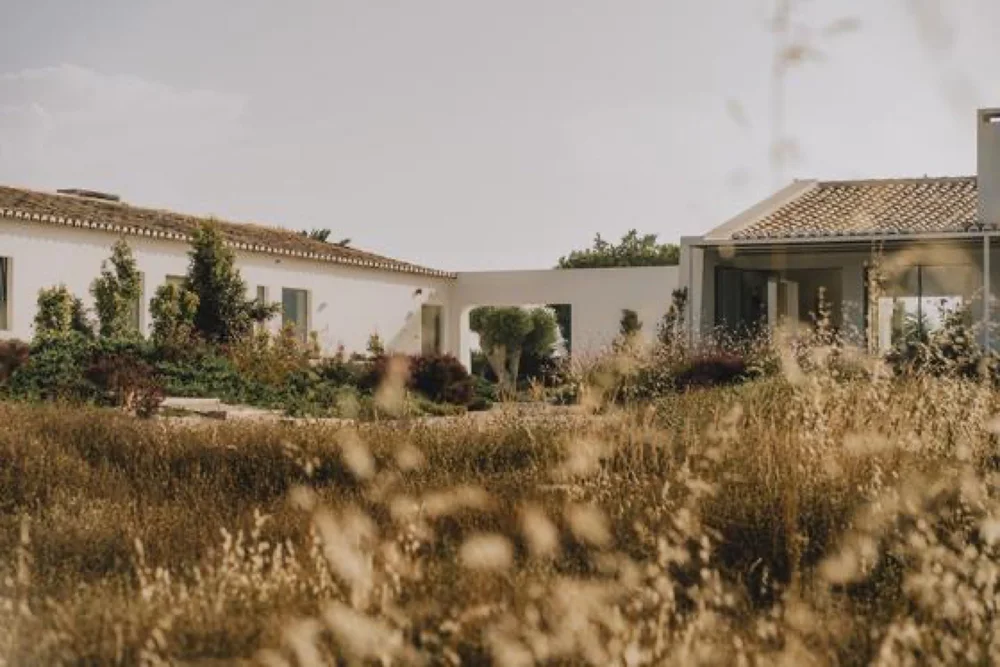 Whitewashed Amaria buildings surrounded by native grasses and coastal gardens near Odeceixe, Portugal