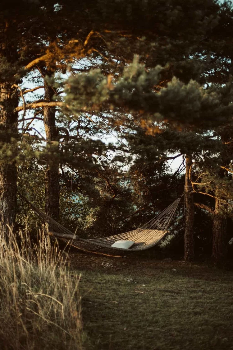 Hammock among the trees at L'Esprit d'Almières in Aveyron